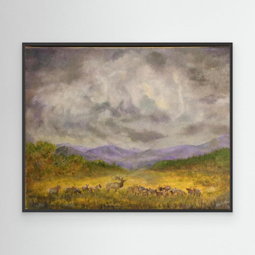 Elk Sky