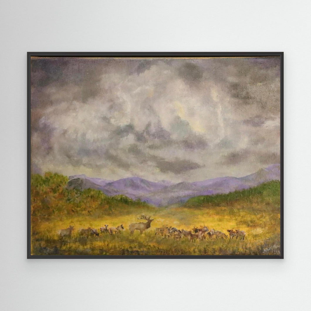 Elk Sky