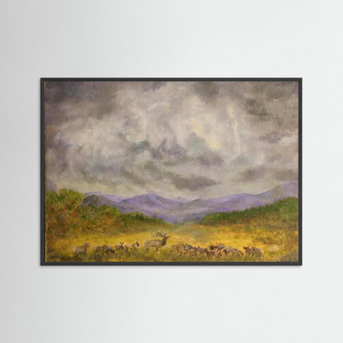 Elk Sky