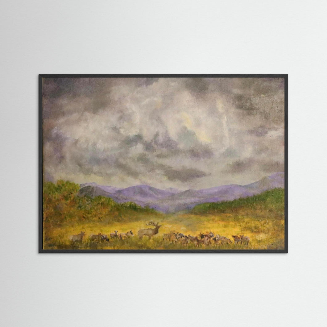 Elk Sky