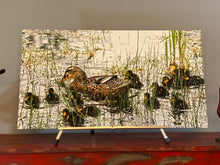 Load image into Gallery viewer, An original Duck duck ducklings